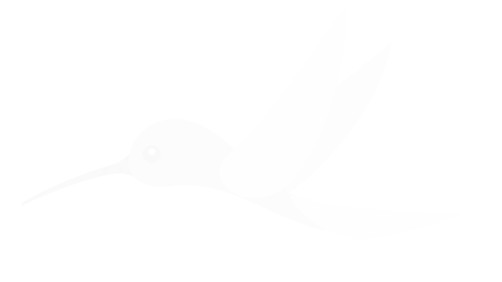 colibriblanco