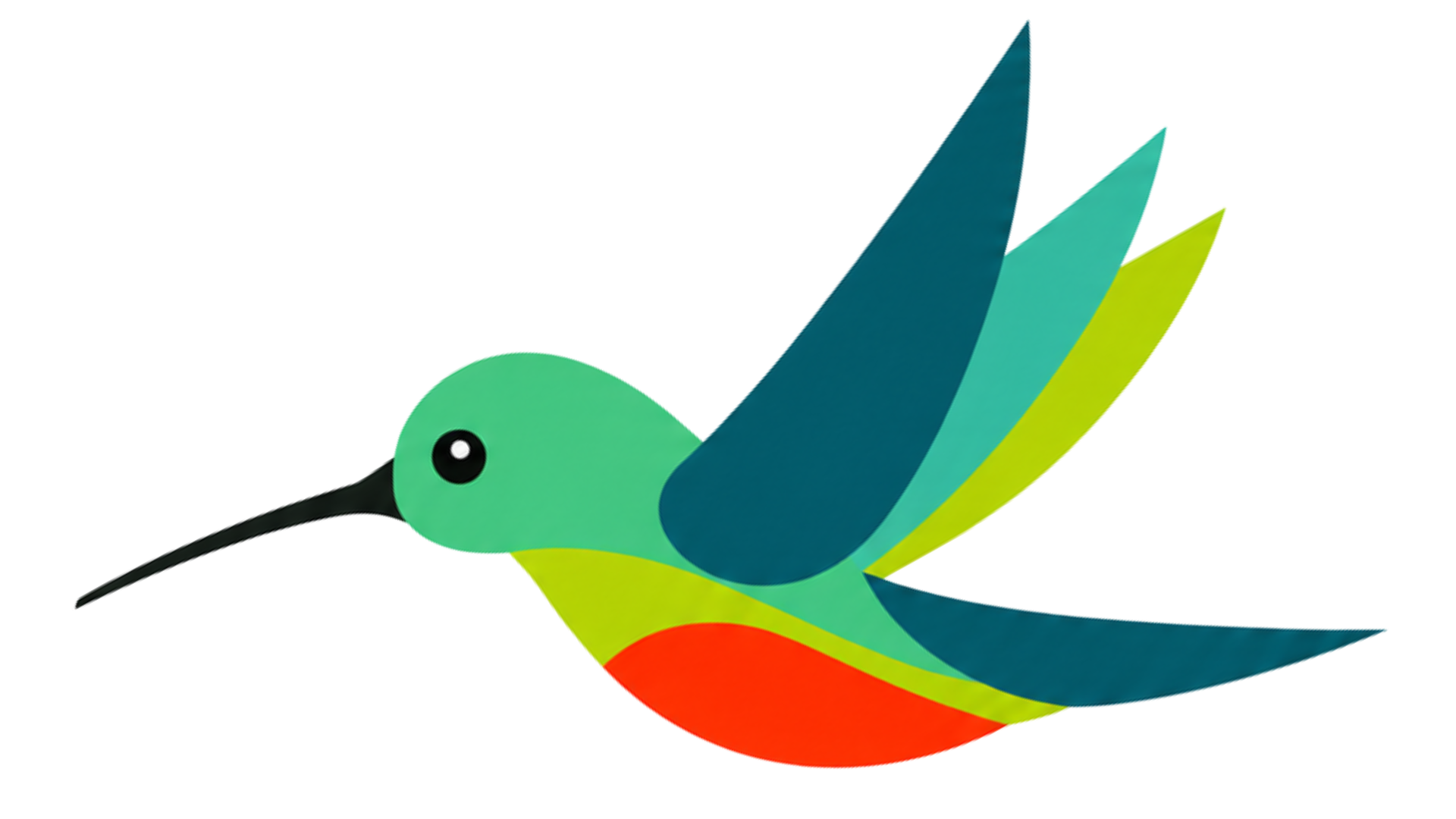 colibricolor1
